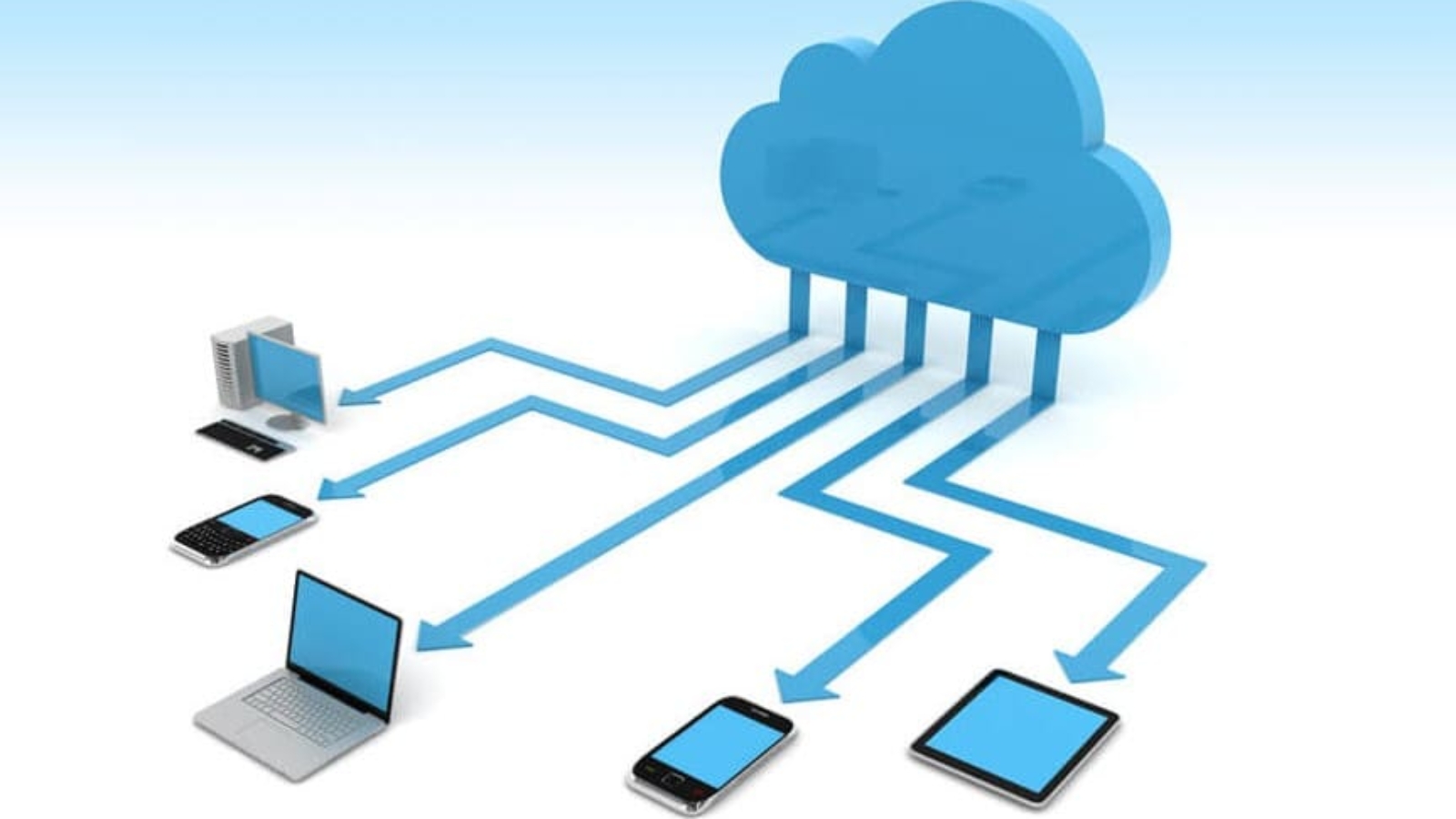 header-pigchamp-12 (1)